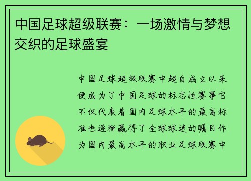 中国足球超级联赛：一场激情与梦想交织的足球盛宴
